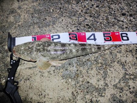 マゴチ自己新記録