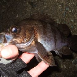 風が止んでから