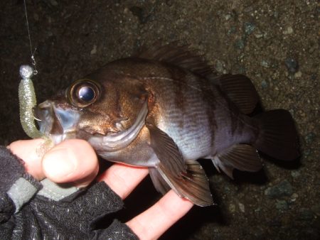 風が止んでから
