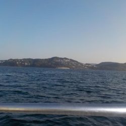 初ハマチキャスティング