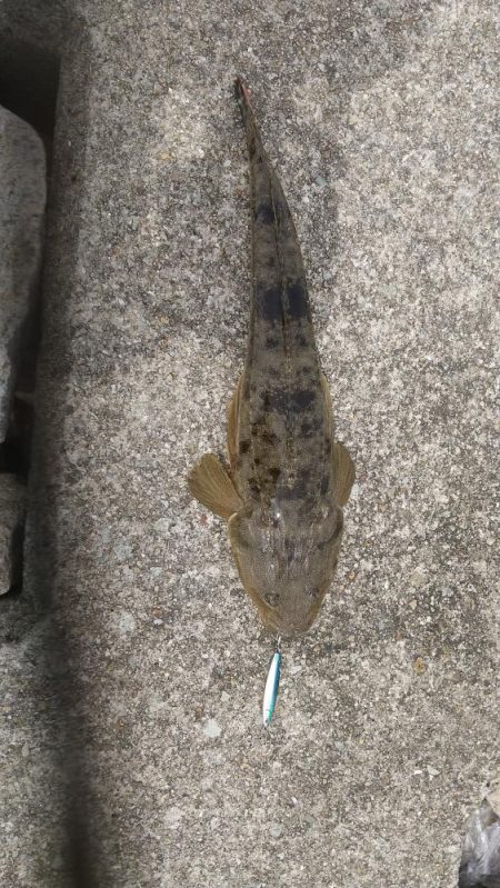 釣り物&場所移動