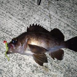 メバリングリベンジ