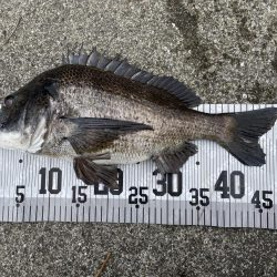 イチノ兄弟、釣果！