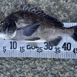 イチノ兄弟、釣果！