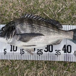 イチノ兄弟、釣果!