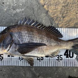 イチノ兄弟、釣果！