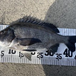 イチノ兄弟、釣果！