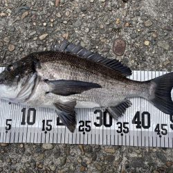 イチノ兄弟、釣果!