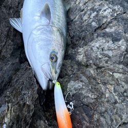 ショアプラッキング