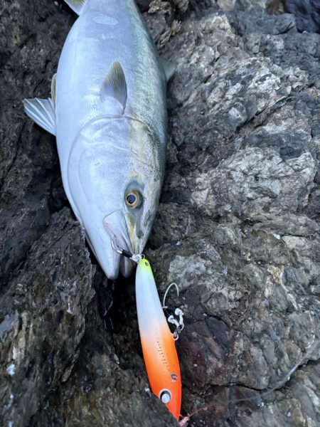 ショアプラッキング