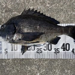 イチノ兄弟、釣果！