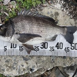 イチノ兄弟、釣果！