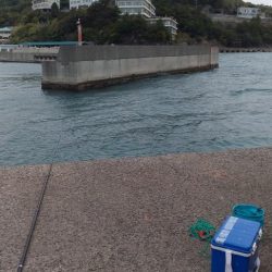 豪雨一時爆風時々