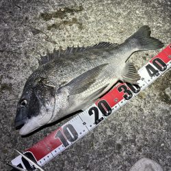 ★★アタリ連発・初ウナギもゲット★★