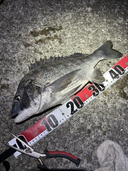 ★★アタリ連発・初ウナギもゲット★★