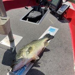 GW初日北山田55〜40cm 4発