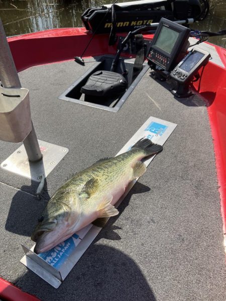 GW初日北山田55〜40cm 4発