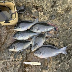 芝渡船さんで沖磯