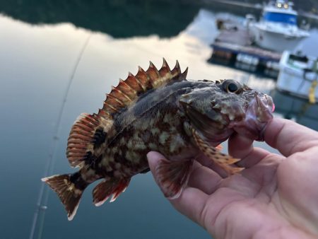 ガッシーに癒されず不満！