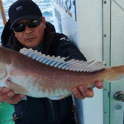 泉州丸　釣果