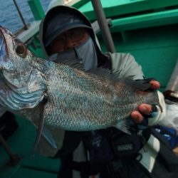 泉州丸　釣果