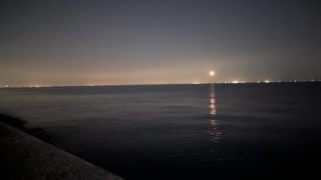 春アジング上向いてきた感じ?