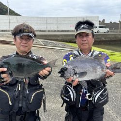 和歌山市江(吉丸渡船)でグレ釣り