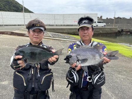 和歌山市江（吉丸渡船）でグレ釣り