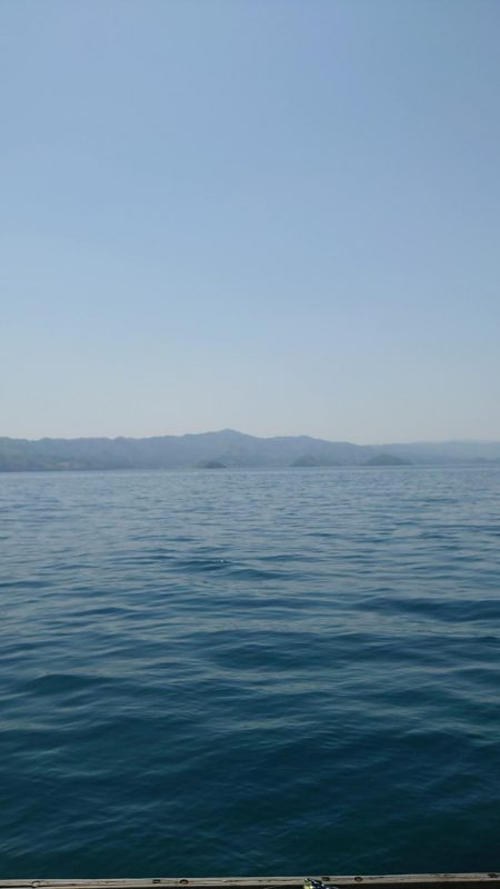 サゴシさんお久しぶりです