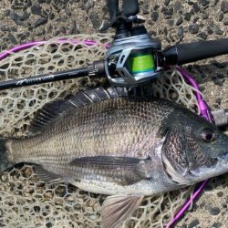 4月ラストチニング！