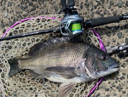 4月ラストチニング！