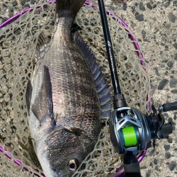 今日もチニング！