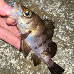 ポイントの選択