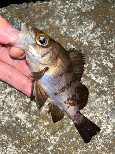 ポイントの選択