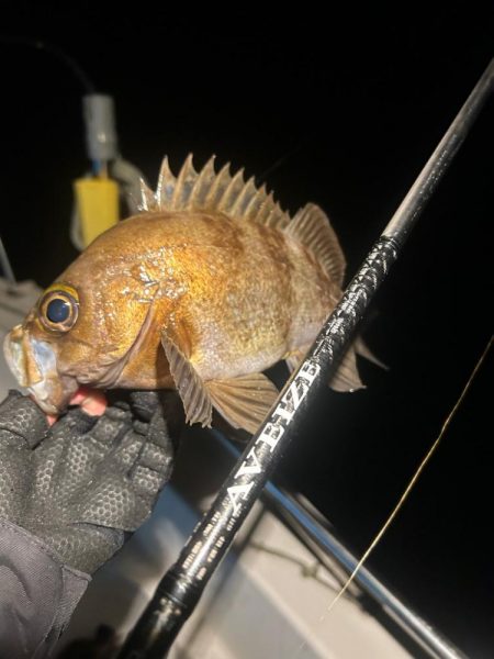 ボートメバリング！