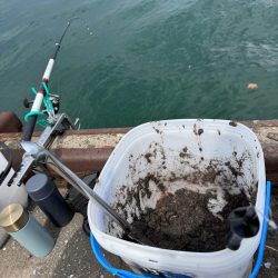 ホッケッケのケー終盤か？