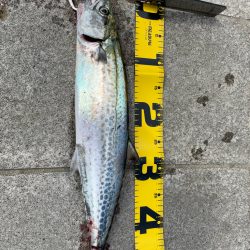 2025年　色々と初‼️