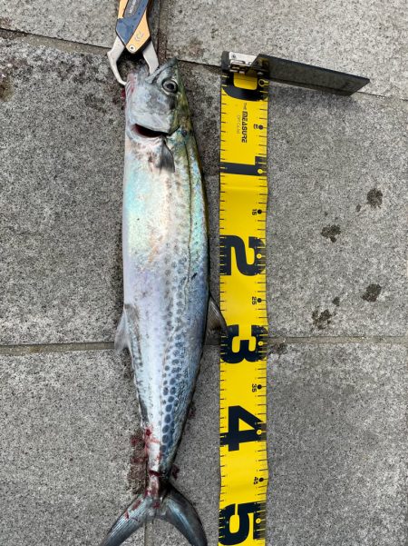 2025年　色々と初‼&#x…