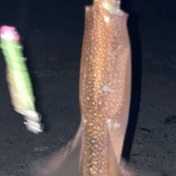 今週末も行ってきました！