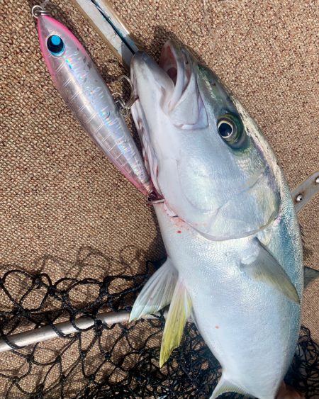 ヒラマサキャスティング