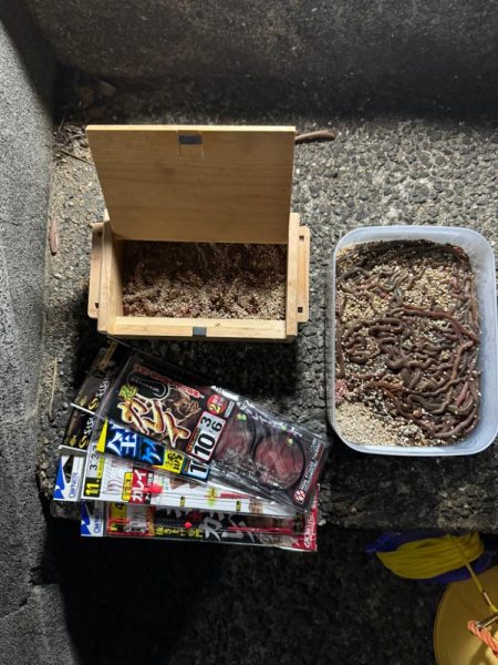 花見カレイ狙い🌸