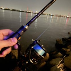 淀川ブリームゲーム3