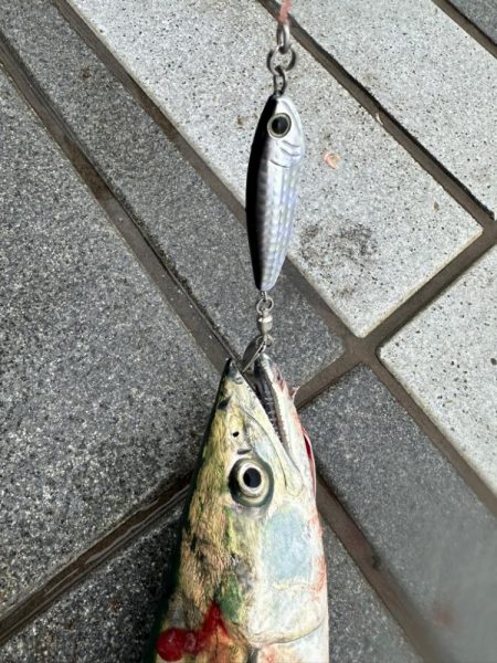 ライトショアジギング