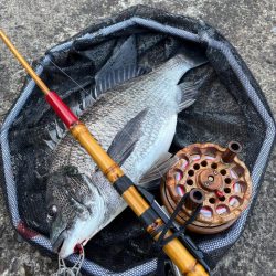 ヘチってきました