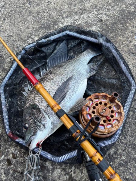 ヘチってきました