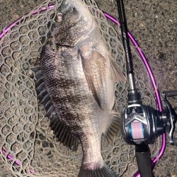 仕事帰りチニング！