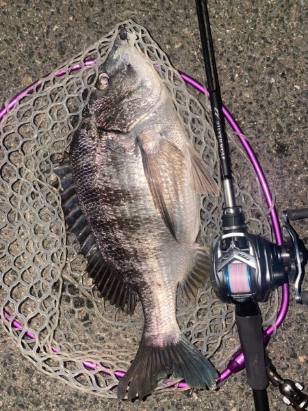 仕事帰りチニング！