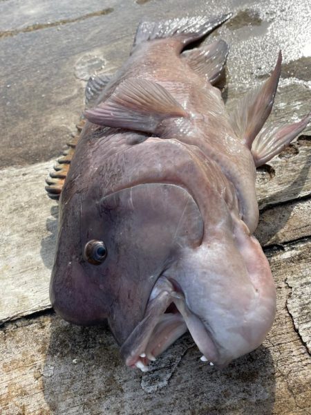 ようやく今年初投稿