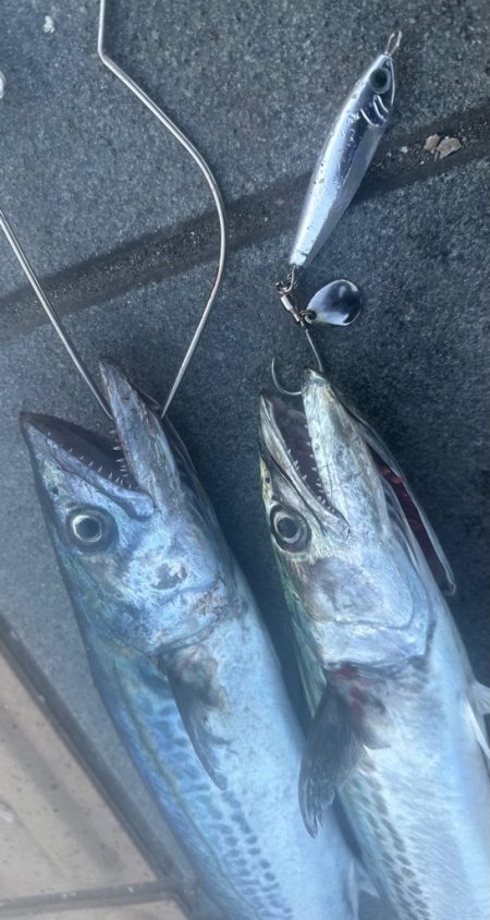 ライトショアジギング🎣