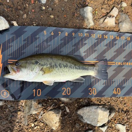 フリック牧場を満喫🌸